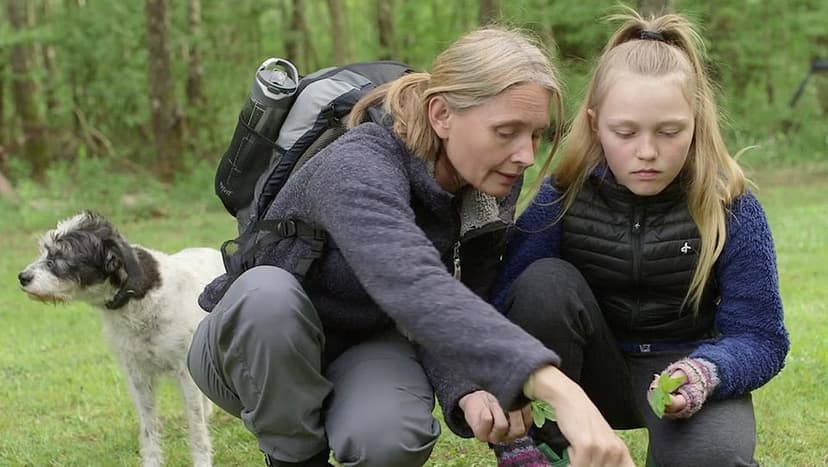 The Nature Detective