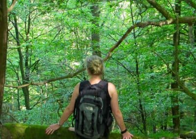 Group activity; Book your guide to Scanian nature | 4hrs